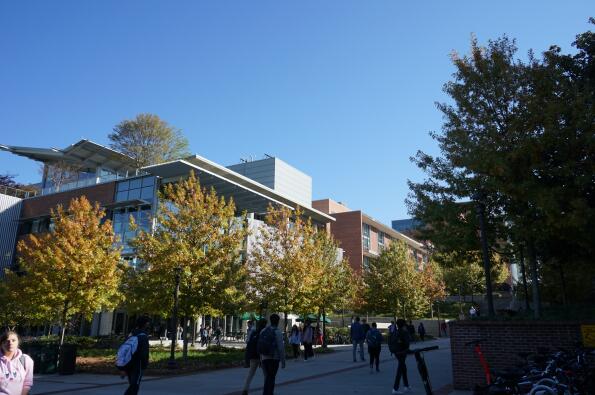 美国西北大学qs排名(美国大学排名前100)